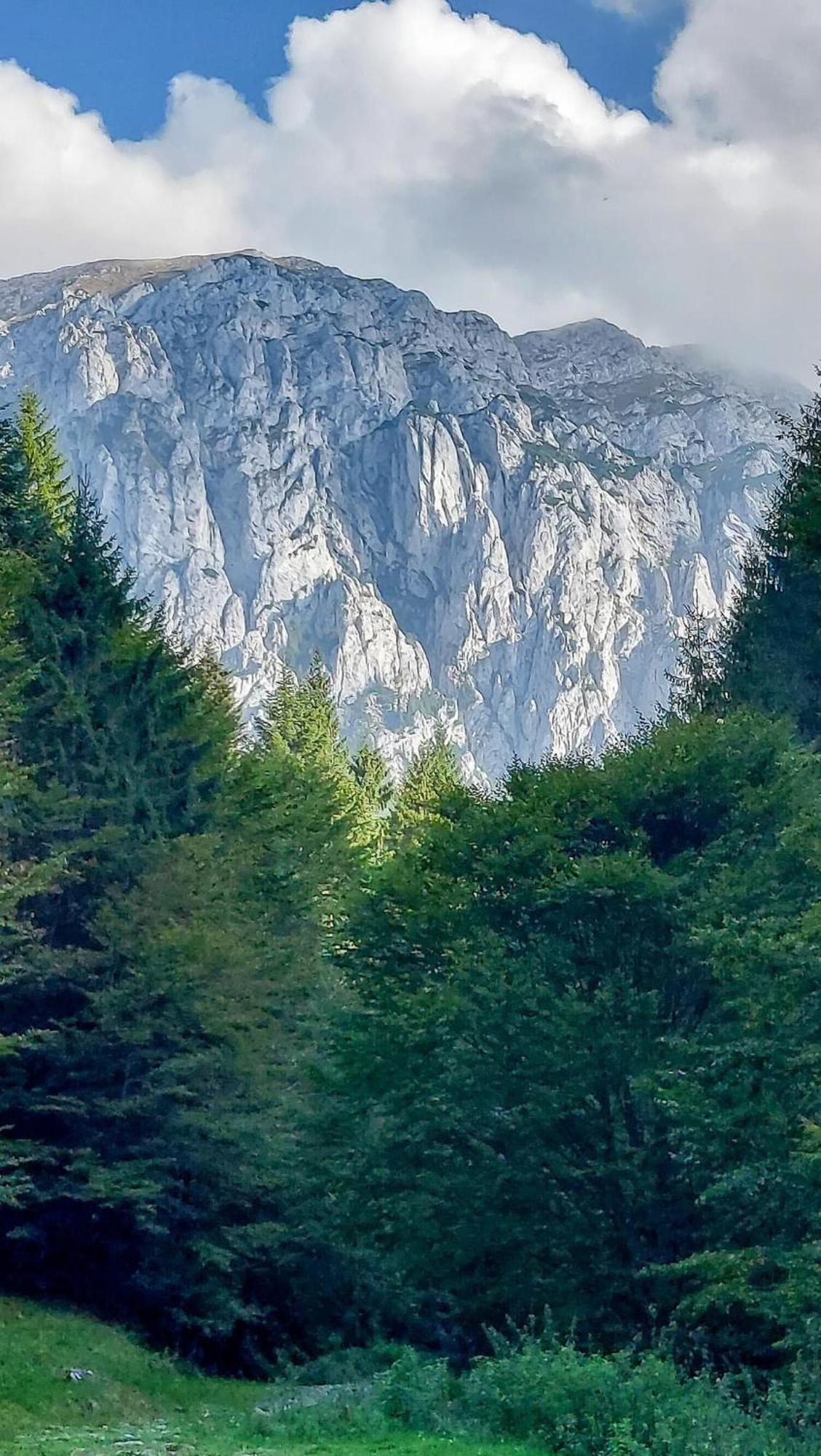 Cazare Zorilor Zărneşti 客房 照片